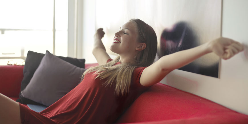 Whole Home Humidifier