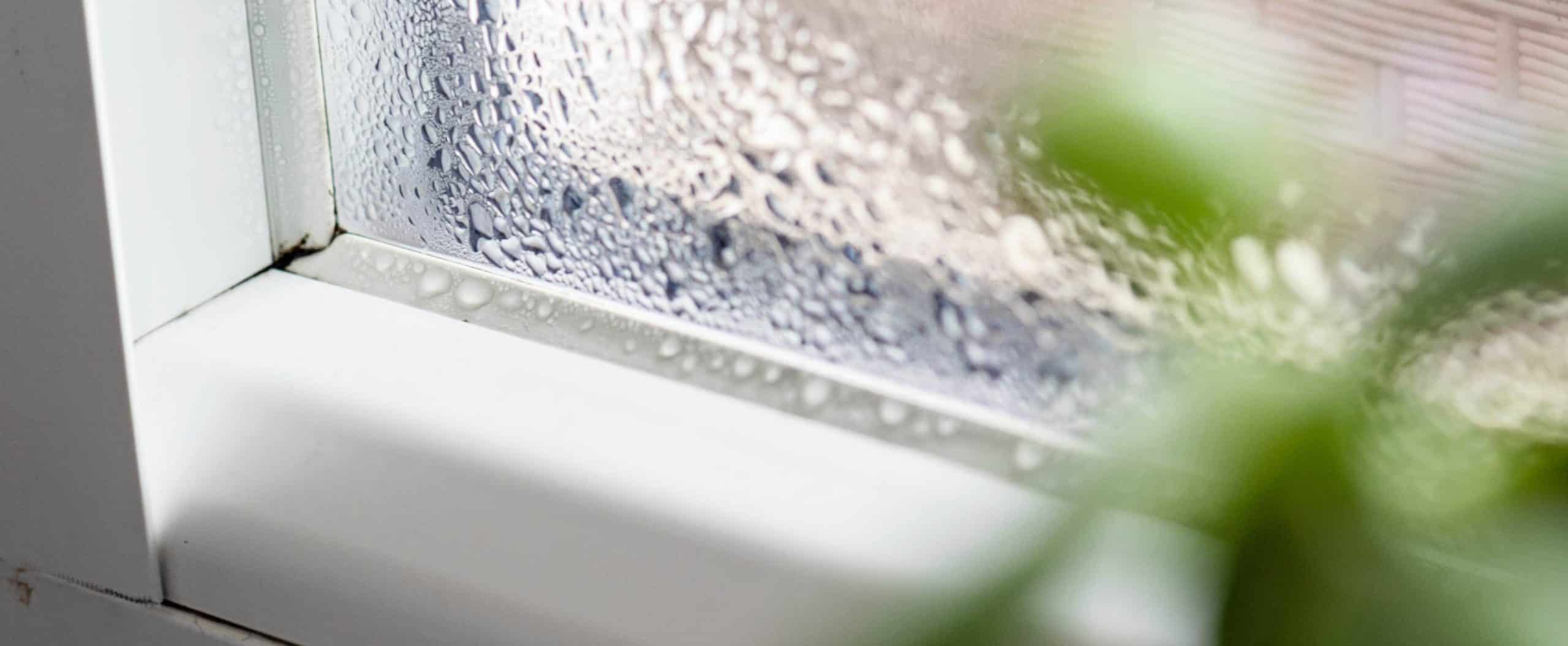 humidity home